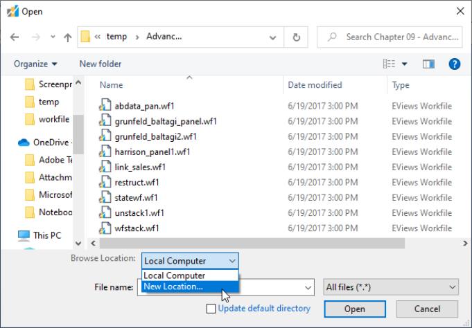Eviews Help Addendum